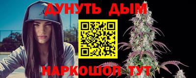стафф Кингисепп