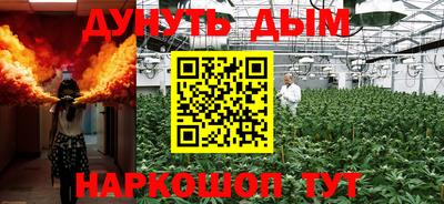 стафф Кингисепп
