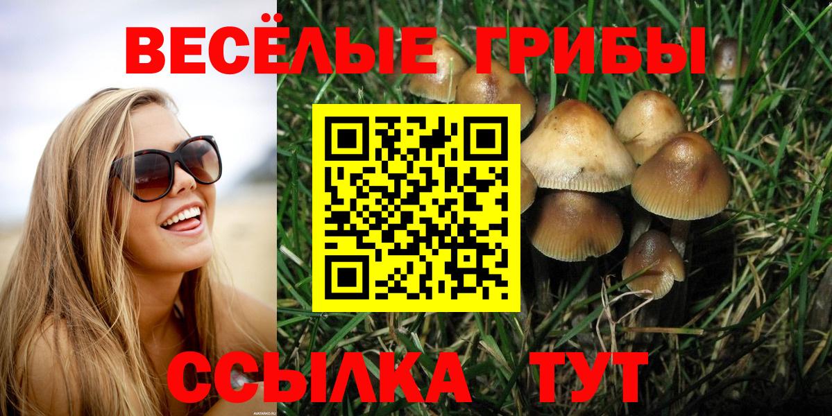 Галлюциногенные грибы Psilocybe Калач-на-Дону