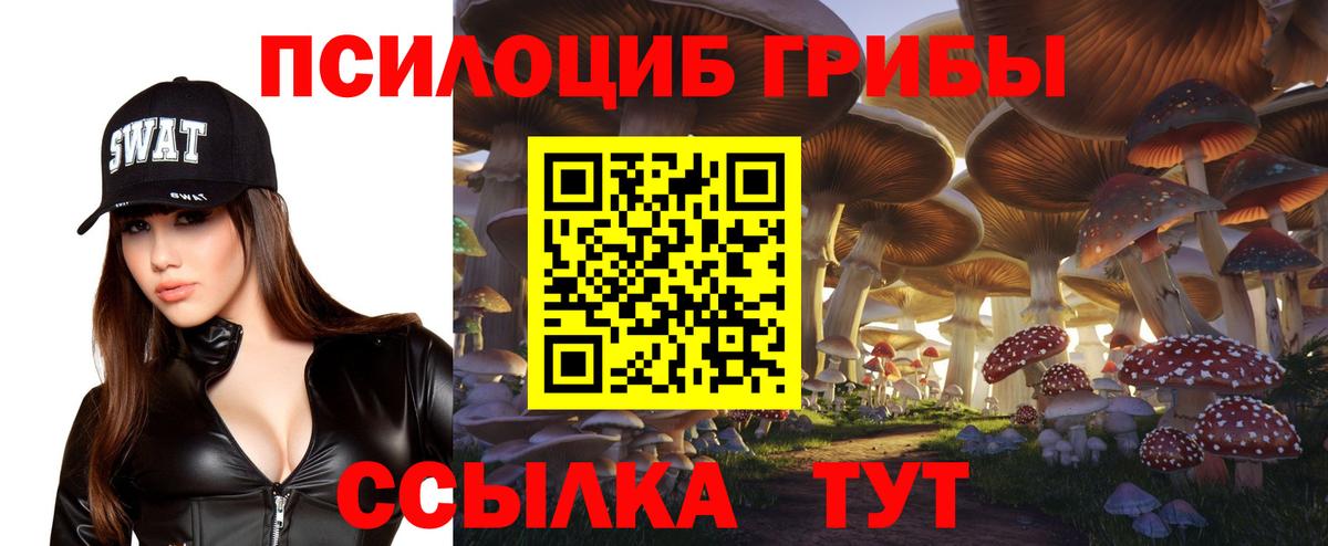 Галлюциногенные грибы Psilocybe  Галлюциногенные грибы Magic Shrooms  Вход с VPN  Калач-на-Дону 